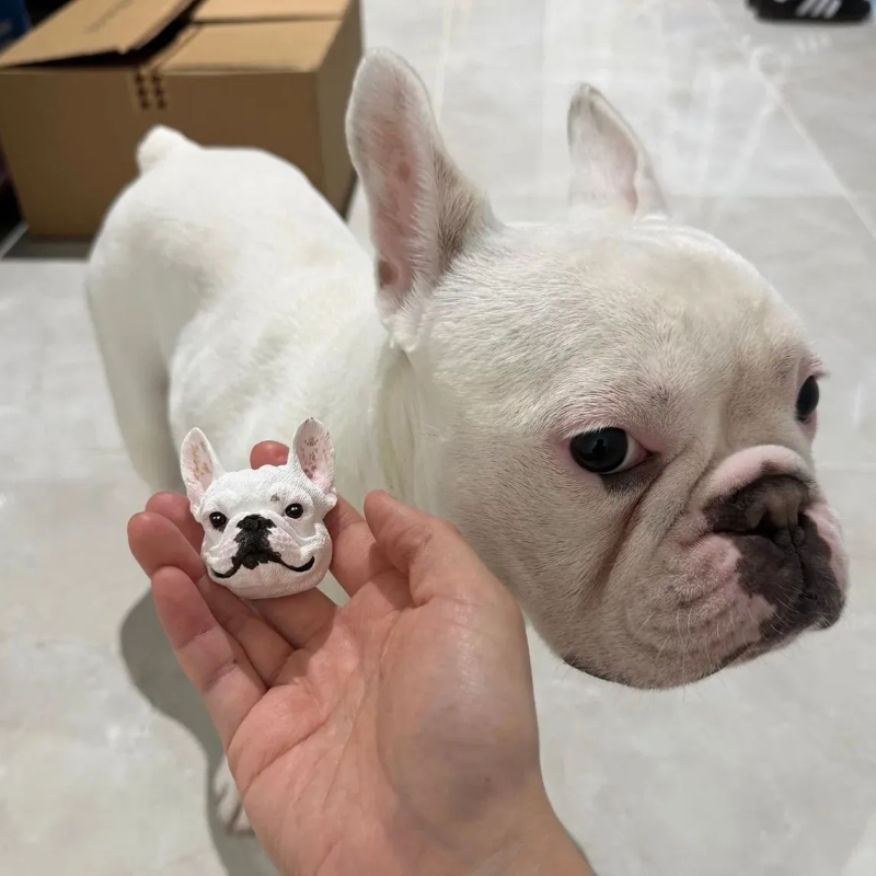 Custom PET Sculpture™ | Multifunctional Pet Portrait Fridge Magnet